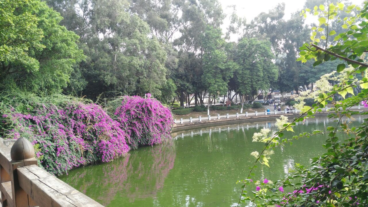 东莞黄旗山城市公园(旗峰山)